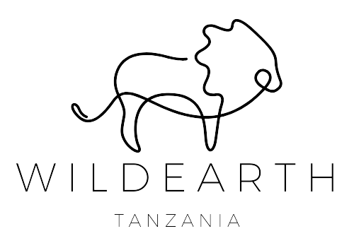 wildearthtanzania.com